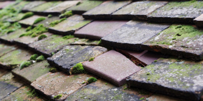 Herstmonceux roof repair costs
